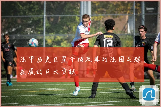法甲历史巨星介绍及其对法国足球发展的巨大贡献