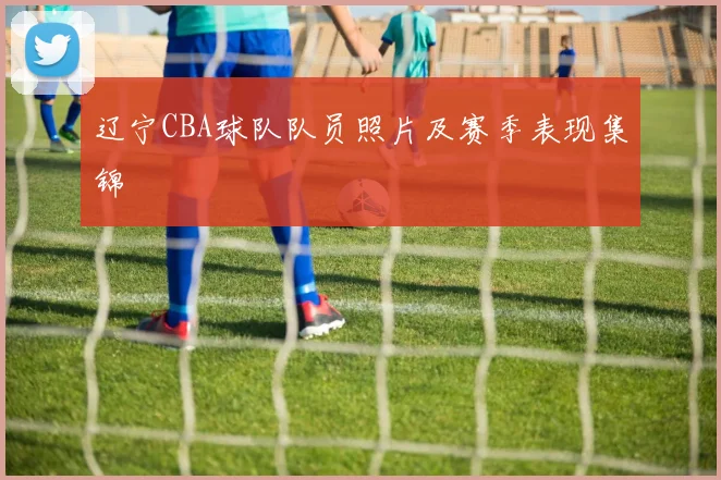 辽宁CBA球队队员照片及赛季表现集锦