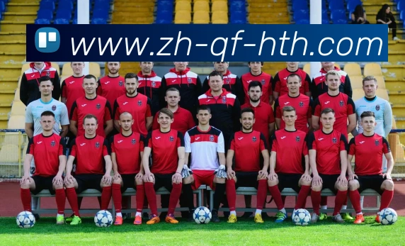 华体会登录入口平台生态图