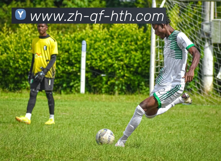 华体会登录入口APP 封面图